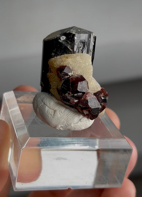 Red Garnet with Black Tourmaline PM0375