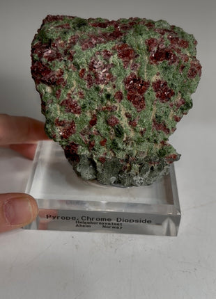 Pyrope Garnet with Chrome Diopside from Norway