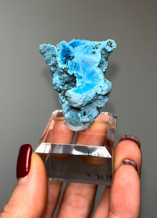 Amazing ! Blue Shattuckite Specimen