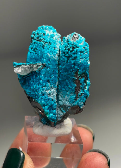 Quartz with Blue Chrysocolla