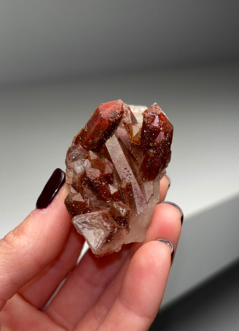 Red Chocolate Quartz