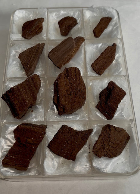 12 Pieces ! Permineralized Fossil Wood Fairy Wood Lot