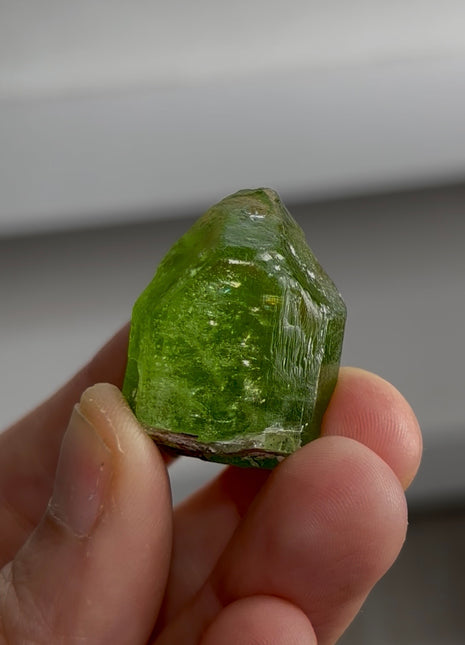 Gemmy Green Peridot PM0257