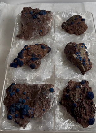 6 Piece Lot ! Rare Blueberry Azurite with Gypsum Specimens