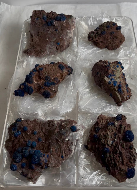 6 Piece Lot ! Rare Blueberry Azurite with Gypsum Specimens
