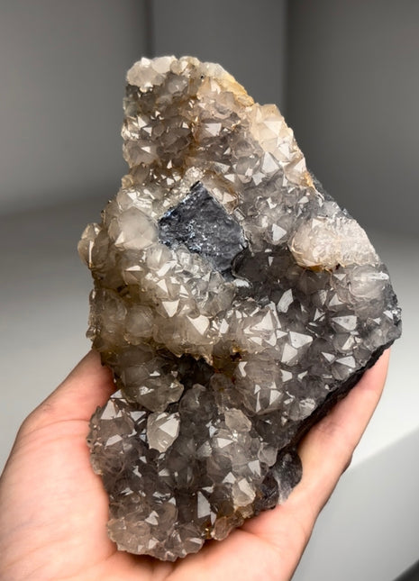 Rare ! Cumberland Habit Quartz on Blue Fluorite