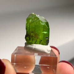 Collection image for: Diopside from Tanzania