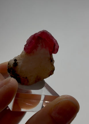 Rare ! Red Rhodonite Collection # 687