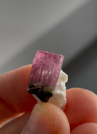 Pink Tourmaline with Albite PM1331