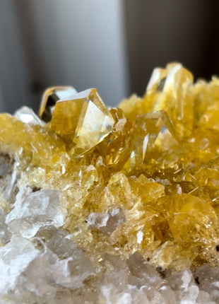 Finest 💎 Golden Selenite on White Halite from Peru