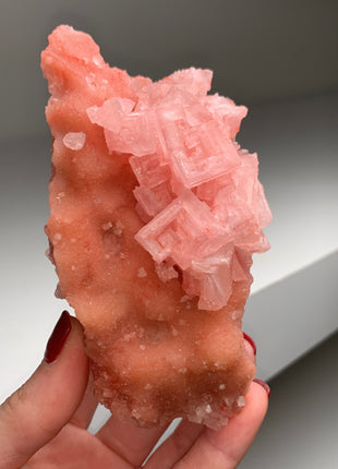 High Grade Pink Halite from Searles Lake, California