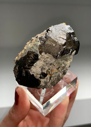 Unusual Size Cassiterite from La Paz, Bolivia - Collection # 074 *