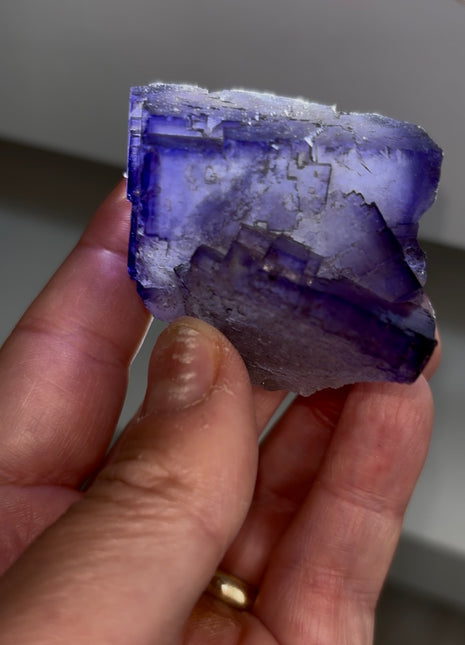 Blurple Fluorite from Muzquiz, Mexico