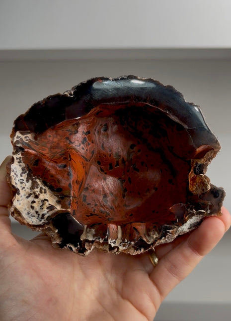 Red Fox Agate Geode from Argentina