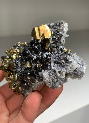 Pyrite, Rainbow Pyrite with Lustrous Sphalerite - Borieva mine, Rhodope Mtns