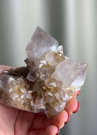 Cactus Quartz Citrine with Big Crystals - From South African Republic