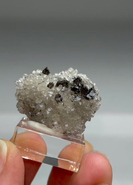 Rare Black Herkimer from New York
