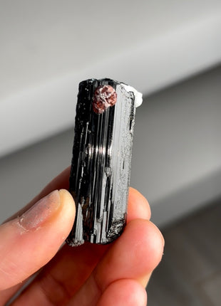 Black Tourmaline with Spessartine Garnet Specimen