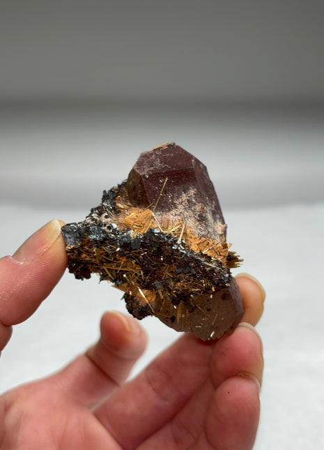Golden Rutile with Metallic Hematite and Quartz