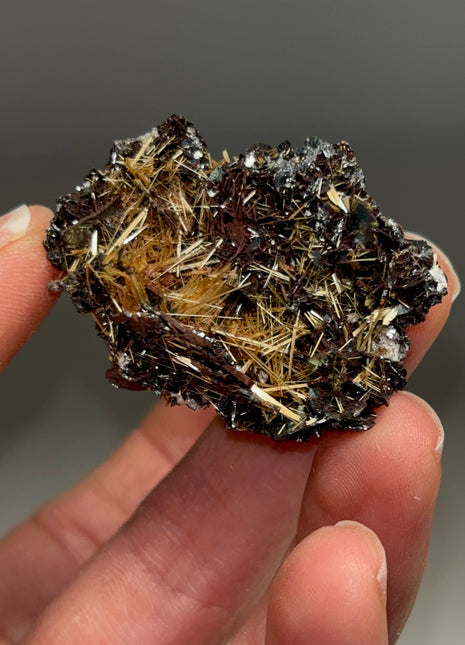 Golden Rutile with Metallic Hematite