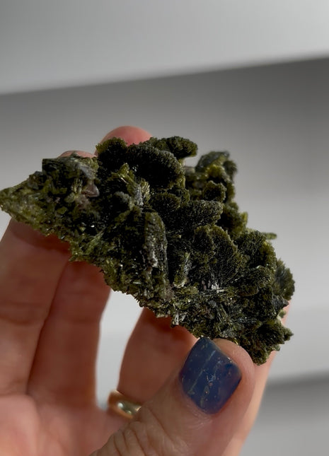 New ! Epidote Flowers with Axinite PM1568