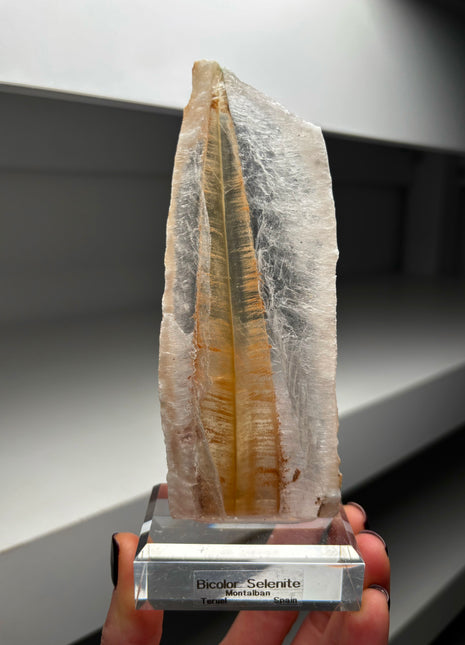 Icy Golden Selenite from Spain