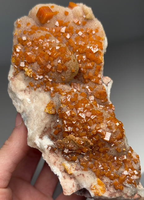 Rare Wulfenite from Los Lamentos, Mexico - Collection # 071