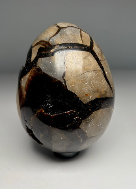 Septarian Dragon Stone Geode Egg