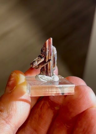 Red Rutile from Diamantina mine, 1990s find