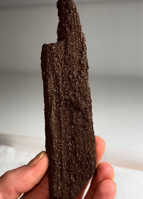 Stunning and Rare Permineralized Fossil Wood with Quartz - From Germany