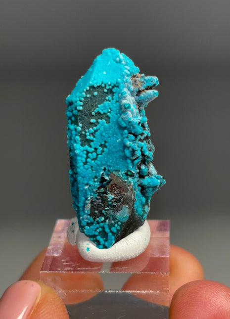 Quartz with Blue Chrysocolla