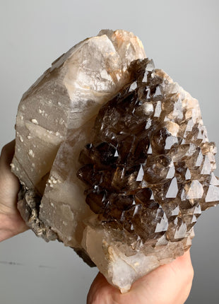 Wow !! Elestial Smoky Quartz with Terminated White Quartz - From Namibia 🔥🔥 *