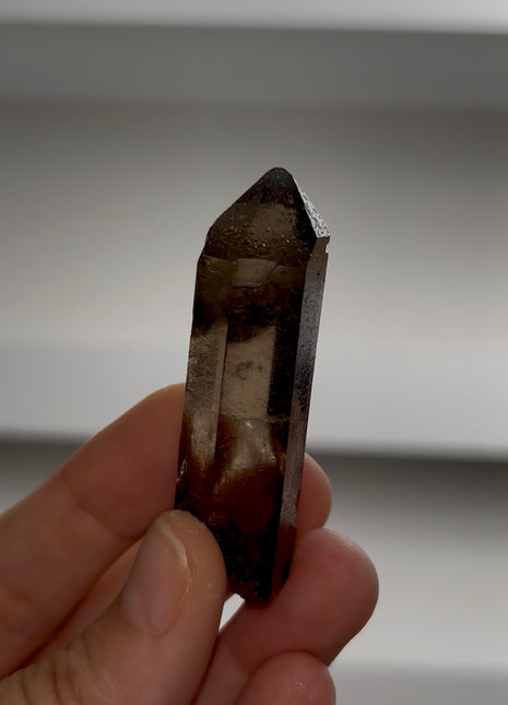 Smoky Quartz from Mont Blanc PM1131