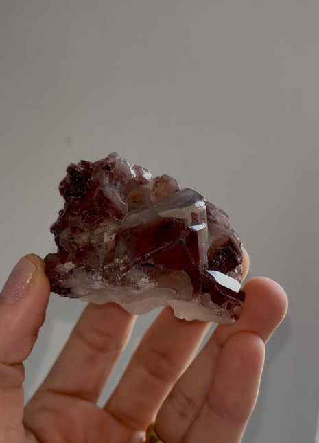 New arrival ! Red Chocolate Calcite