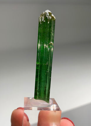 Green Tourmaline - From Brazil Collection # 048