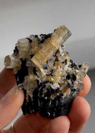 Black Tourmaline with Beryl PM1411