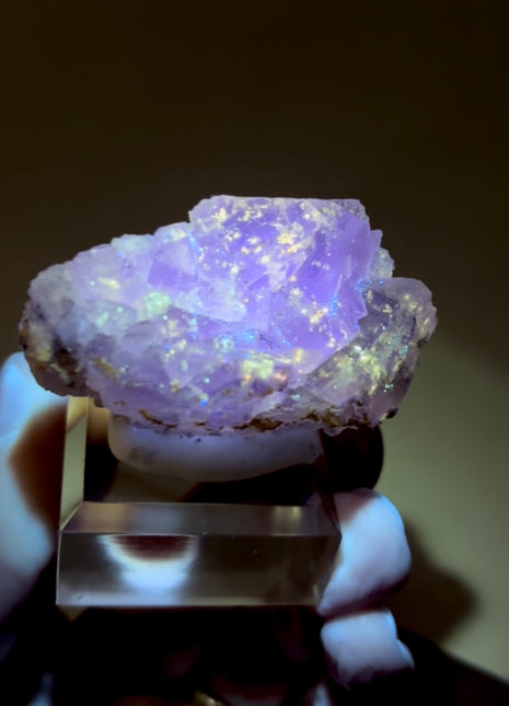 New Arrival ! Galaxy Fluorite