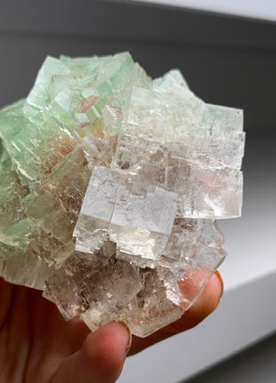 Rare Bicolor Transparent Green Halite - From Lubin mine, Poland