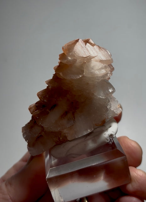 Red Pagoda Calcite ✨ Special Price 💥