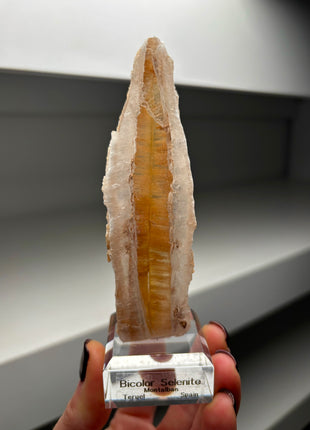 Icy Golden Selenite from Spain