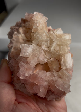 Rare ! Pink Green Bicolor Halite