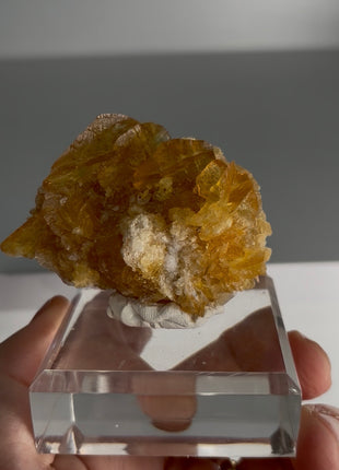 Golden Selenite from Peru