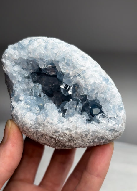 Gem 💎 Sky Blue Celestite Geode