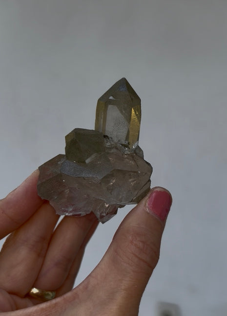 Green Chlorite Quartz - From Chamonix, French Alps