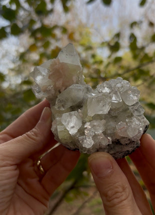 Gemmy Green Apophyllite with Pink Stilbite