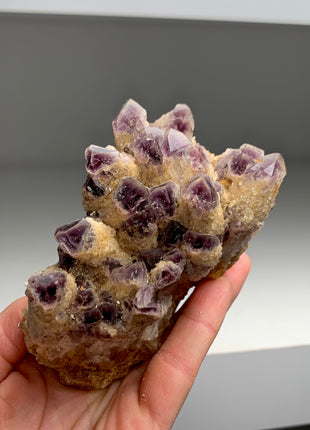 Amazing and Rare ! Phantom Amethyst Specimen - From Zambia