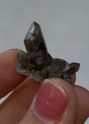 Chlorite Included Quartz - From Chamonix, French Alps