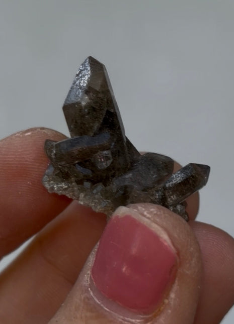 Chlorite Included Quartz - From Chamonix, French Alps