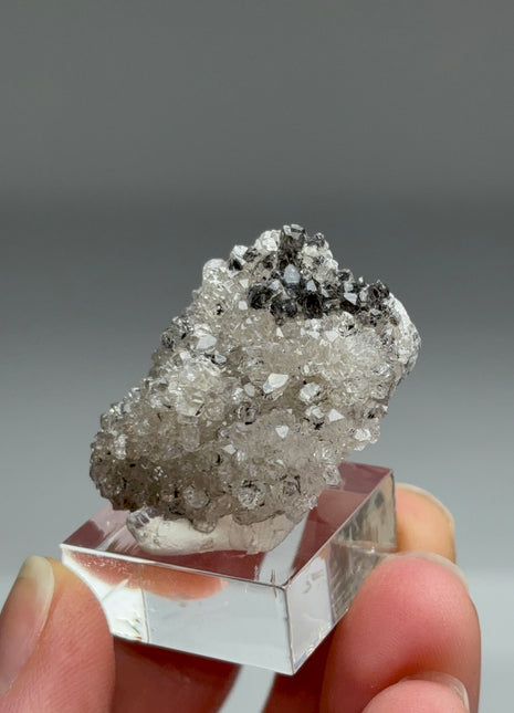 Rare Black Herkimer from New York
