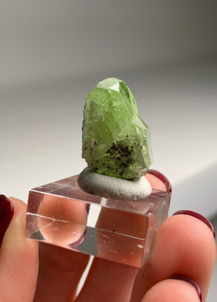 Green Diopside with Graphite - Merelani Hills, Tanzania